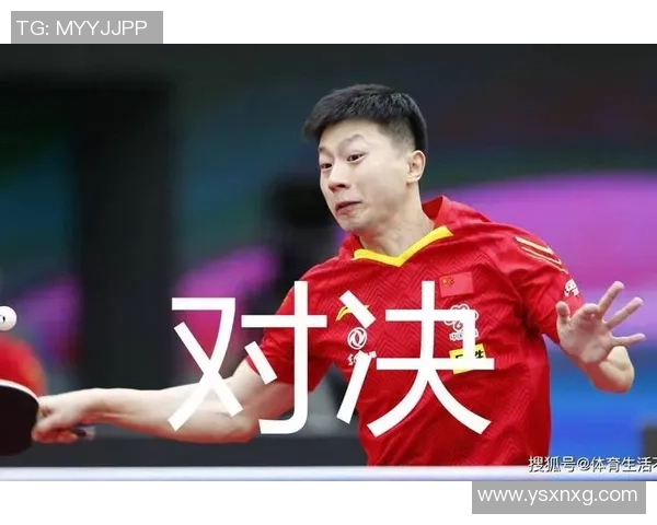 天狼星与桑斯瓦尔精彩对决比分揭晓赛季战绩分析